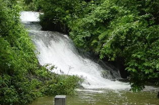 大圩古镇+古东瀑布：反套路玩法指南