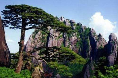 五一去黄山核心区门票怎么买蕞划算？攻略