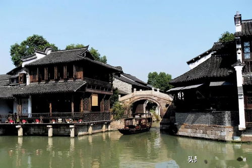 乌镇旅游咨询处到底是个啥玩意儿？