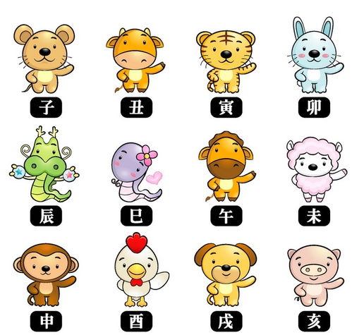四季忙碌对应哪个生肖，这种四季与生肖的对应关系有何含义？