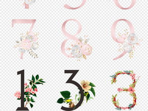 花打一生肖，花打一个数字代表什么生肖？