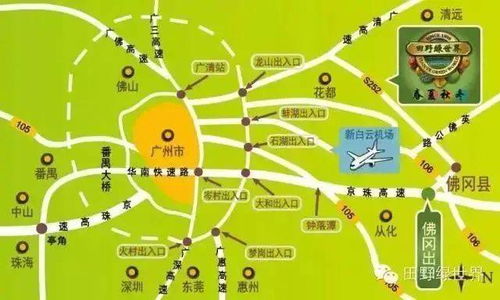 交通指南：一场现实版的速度与激情