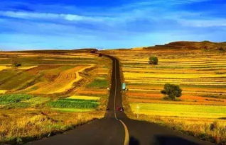 草原天路：一场关于门票的荒诞剧