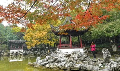 吴江美景如画，金坛风情独特