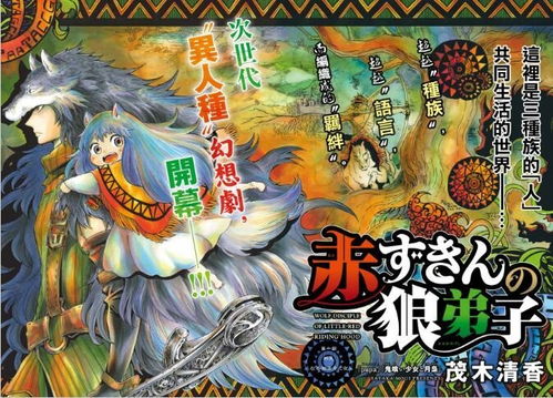 #破碎式结构：混沌中的智慧碎片#