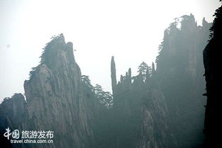 2.1 奇松怪石：艺术与荒诞并存