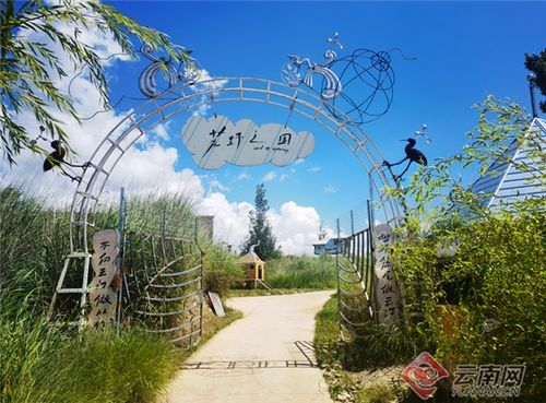 2. 林业科学转型：从资源依赖到产业升级