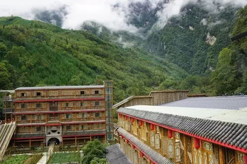 1200元玩6天？做梦呢！