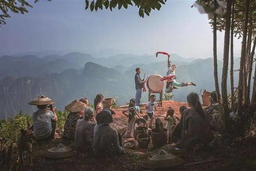 风水中的大海与小鸟