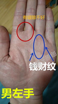 手相中的圆形线纹、 米字线纹、井字线纹和田字线纹
