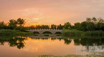 那些闪闪发光的招牌都是假的！