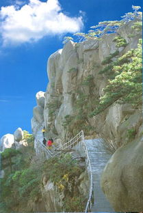 这座山居然还是个道士？！