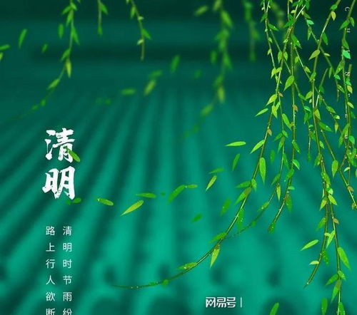 立春与星座的碰撞