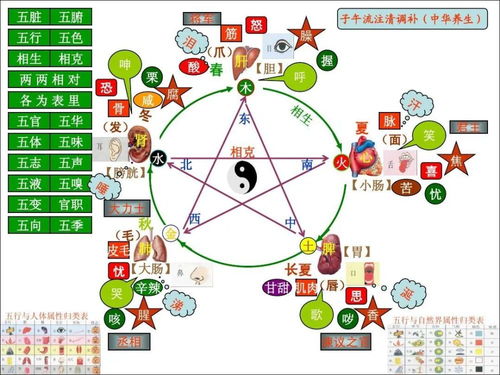 漏气之象与五行纠缠