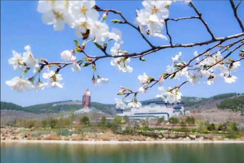 注意事项（重要！）