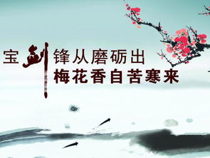 阴阳失衡的咖啡店