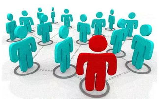 二、 案例分析：定制游如何精准触达目标客群