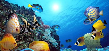 第一章：优良奇的触碰与风水大忌