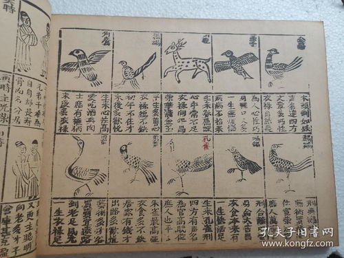 如何入门学习三世演禽命理，掌握三世禽演算命财运的奥秘？