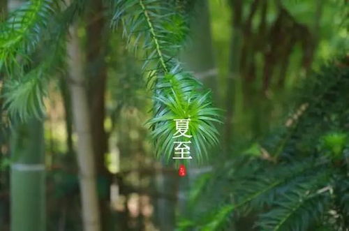 夏至这个鬼天气！热死人不偿命的节气