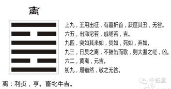 震惊！2026年火雷噬嗑卦竟藏着这些不为人知的秘密