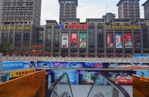 社交媒体平台流行趋势解读