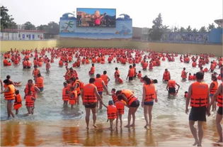 我的血泪史：从骂街到真香