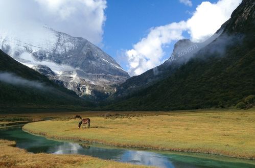 风水布局：打造和谐舒适的居住周围