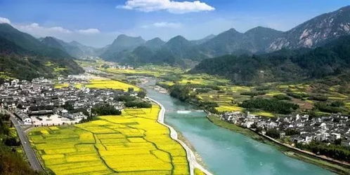 龙川燕子的风水寓意,燕子地形风水
