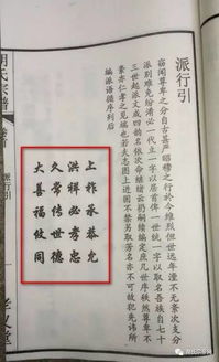 2. 安徽霍邱冯井镇白庙徐氏