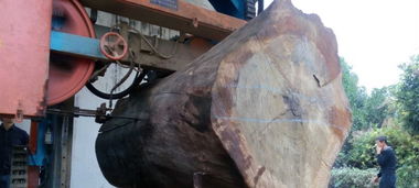 1. 身份象征？我看是智商象征！