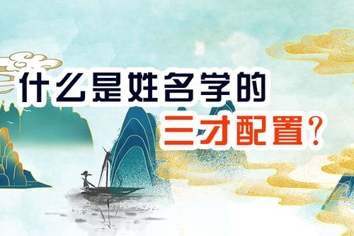 专业指导：让你少走弯路