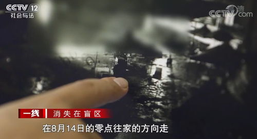 午夜图书馆里的书页与星座的阴影