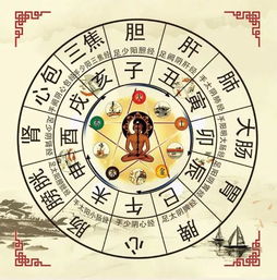 五月底出生的人属于哪种命格？有没有对应的命理分类？