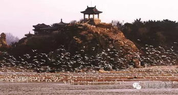 秦皇岛鸽子窝公园：堪日出还得是这儿