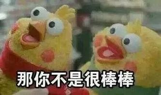 想打一生肖，三姑六婆打一个生肖，这是什么生肖？