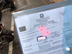 先别订机票！深圳到锦州的交通“战争”