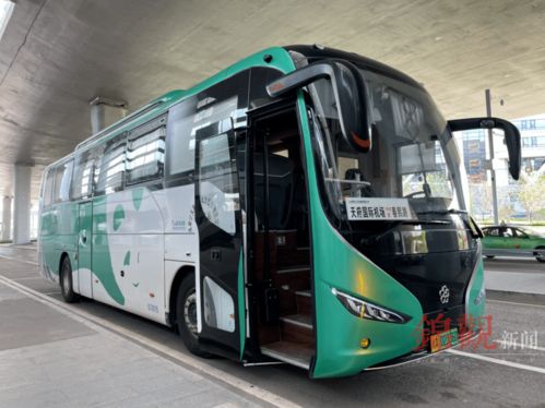 怎么乘坐大巴去合肥机场？一份血泪指南