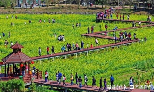 福建神龙谷：app订票的迷惑行为大赏