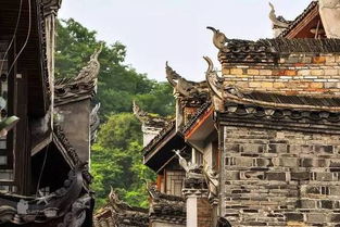 第七章：旅行攻略碎片化信息
