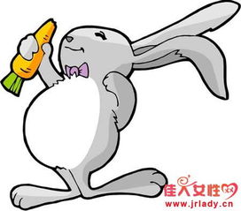属兔运势8月和属兔九月运势具体内容是什么？