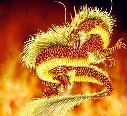 属兔2026年最大劫难具体是什么，那一年生活前景会怎样？