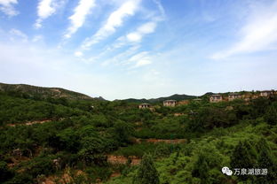 交通就是个坑！千万别信导航！