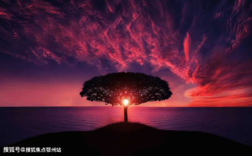 浦姓男孩名字：取浦江涌潮， 浩渺如浦之意