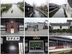 沈园：蚊子们的自助餐厅