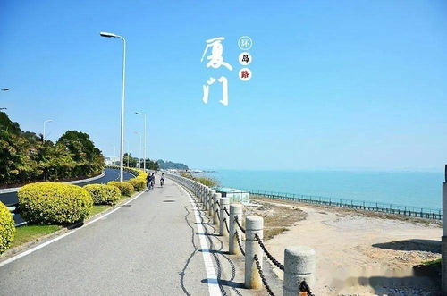 #历史持续发展碎片#