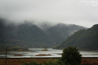 准备好踏上福建南平，探寻武夷山秘境，邂逅自然之美了吗？