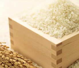 大米风水发财偏方,大米在风水中的作用