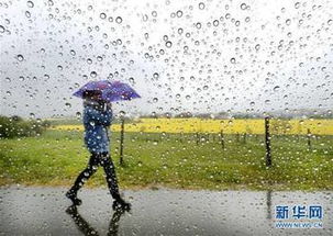 一场与春雨的约定