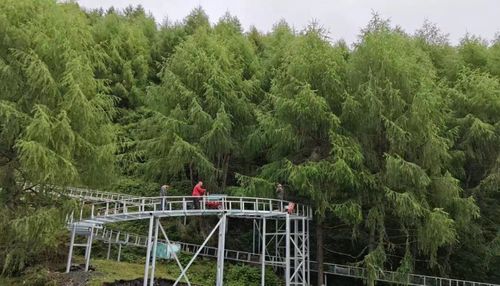 餐饮物价：吃不起的午餐